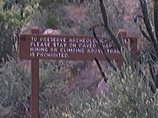 More signs, nice cactus